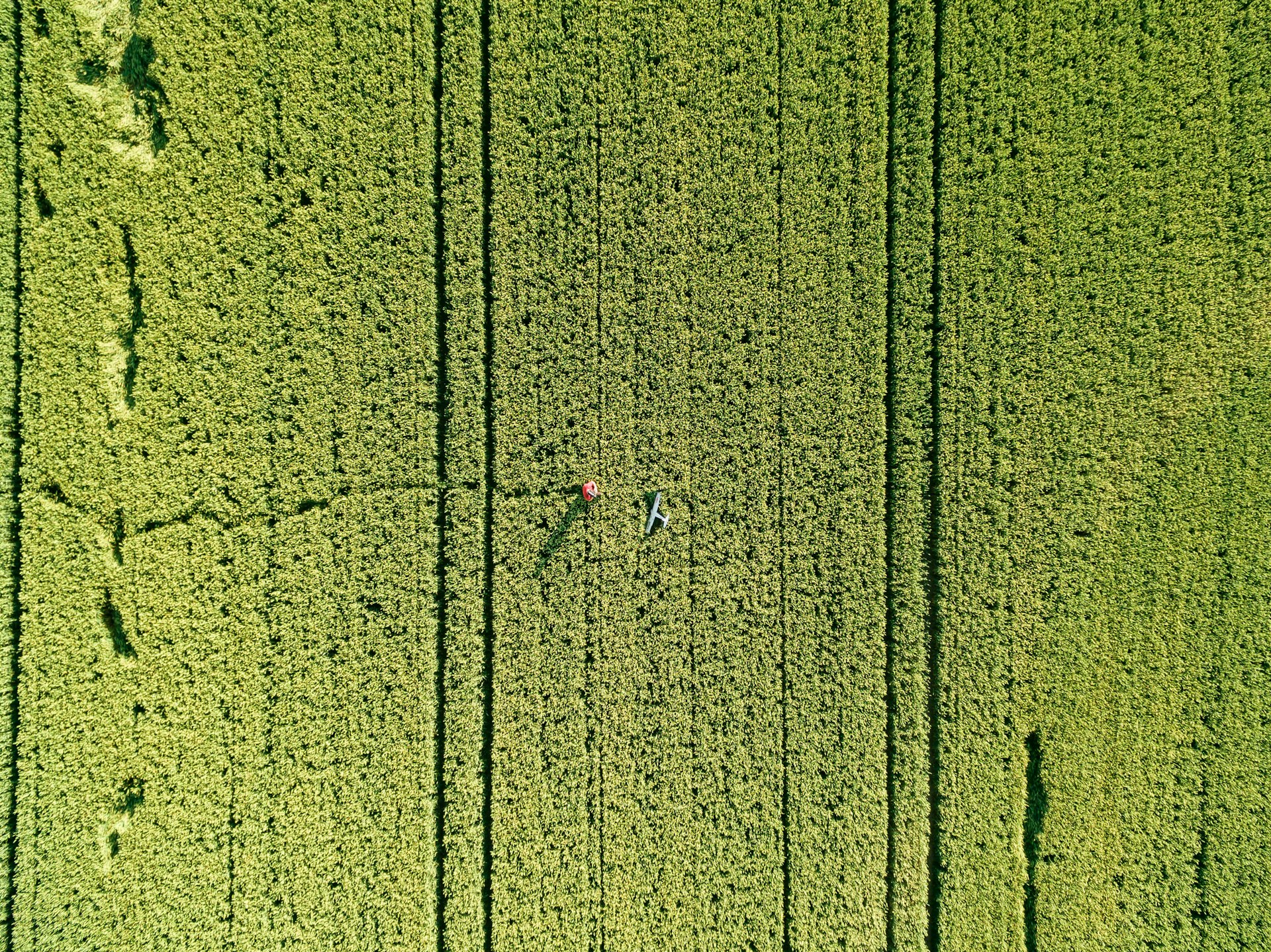 Weite landwirtschaftliche Nutzflächen im Münsterland aus der Vogelperspektive